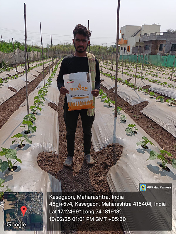 Fertilizer Result