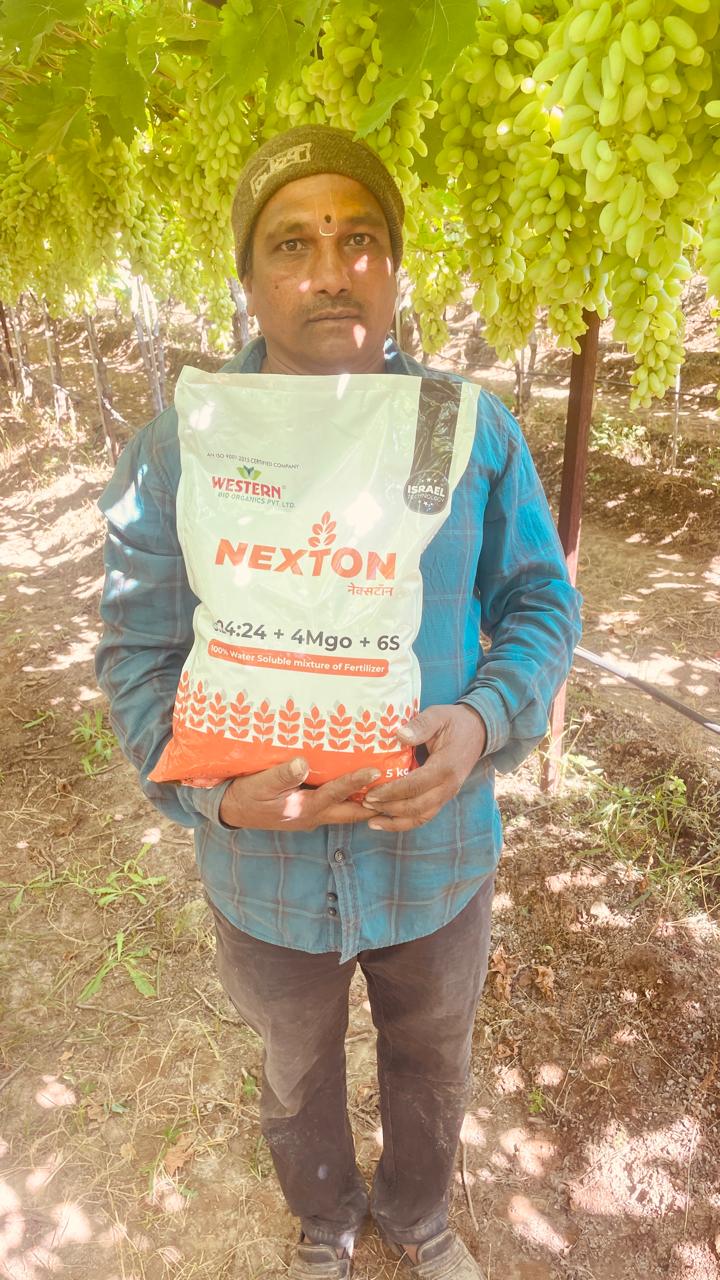 Fertilizer Result